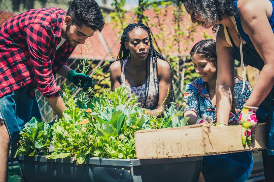 Impacto Económico de la Agricultura Urbana en Comunidades de Bajos Recursos