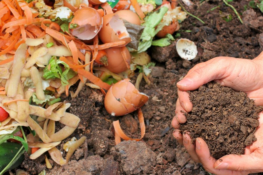 Cómo Mantener un Compostaje Saludable en tu Hogar