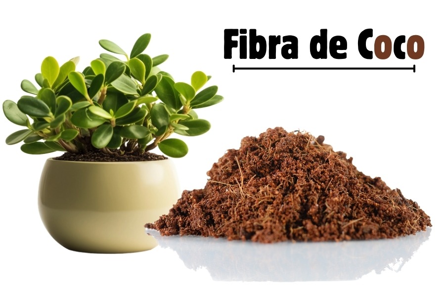Fibra de Coco para Plantas